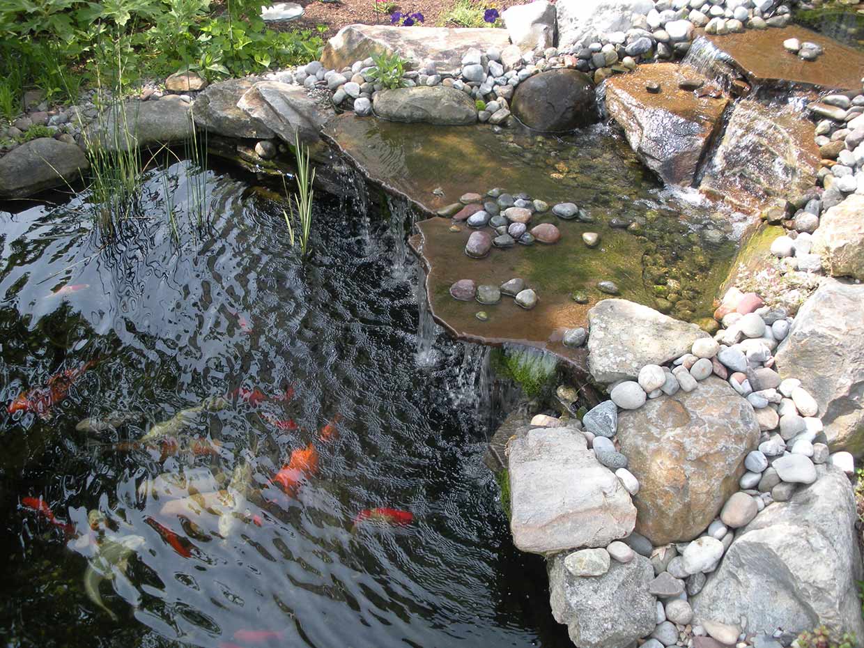 waterfall-koi-pond-design-in-natural-setting